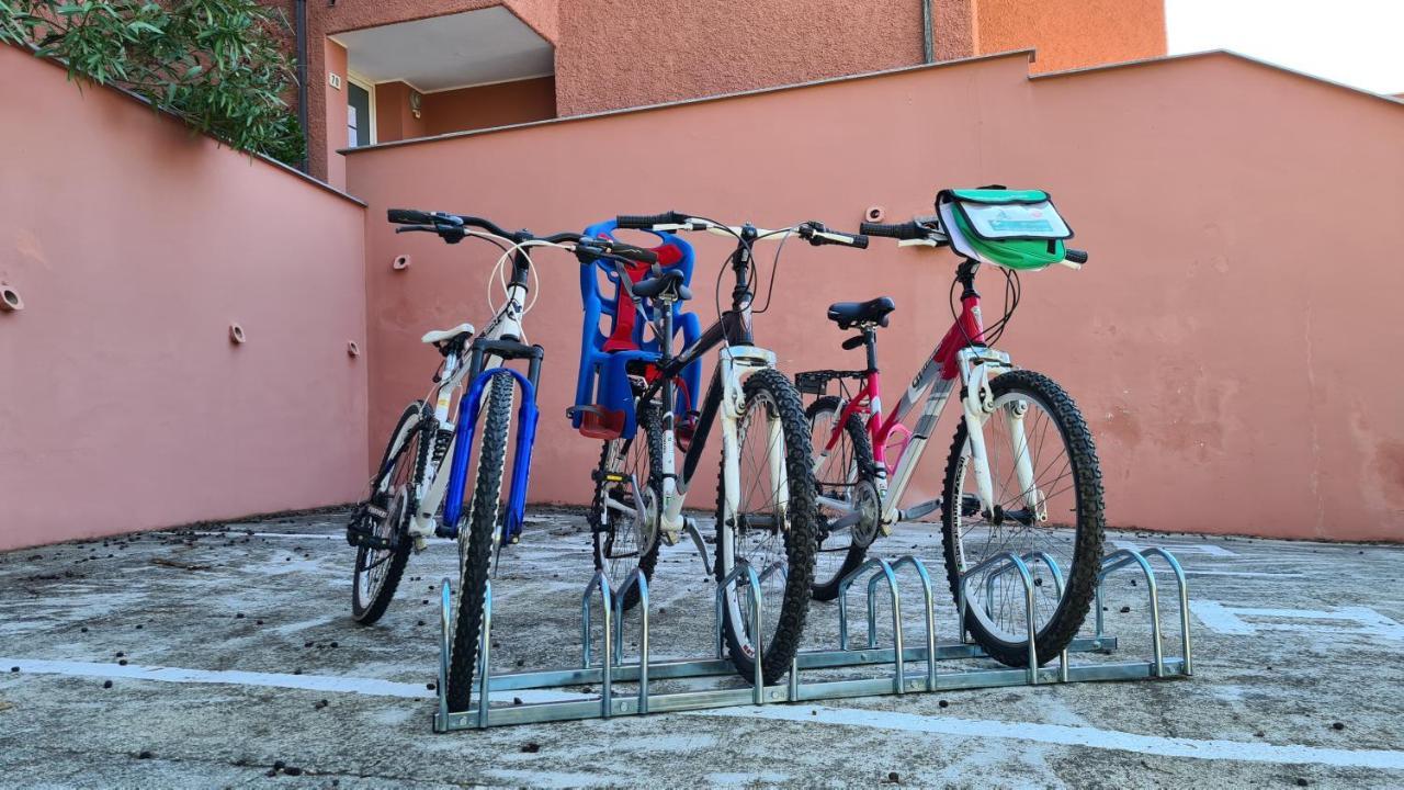Villa Paolina Ceriale - App. 6 Posti Bagian luar foto